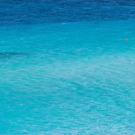 Charming Sea No2086 *