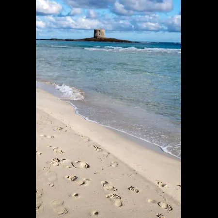 Apartment Charming Sea No2086